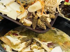 -菌之家·专业纯野生菌火锅·特色炒菌