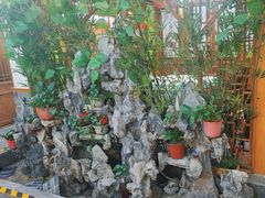 -津沽小院(天津之眼店)