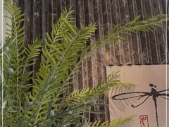 -Dragonfly悠庭·按摩Spa(静安嘉里中心店)