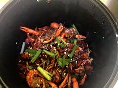 麻辣龙虾-巴厘龙虾·榜首油焖大虾(青山店)