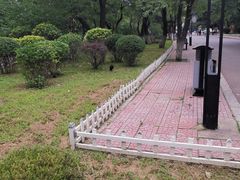 -二一九公园