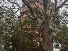 -宝通禅寺