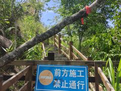 -霸王岭国家森林公园