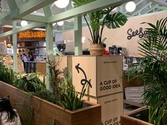 -Seesaw Coffee(上海太阳宫K46店)