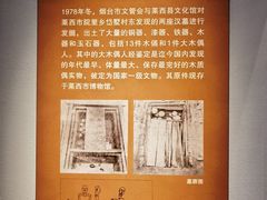 -青岛市博物馆