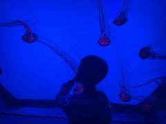 -沈阳海洋探索中心