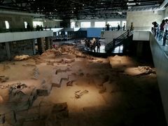 -自贡恐龙博物馆