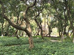 -黄埔荔枝公园