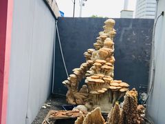 -蟠龙天地-P2停车场