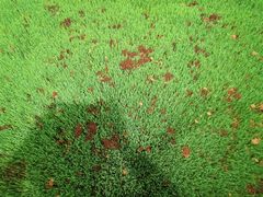 -三圣花乡旅游区