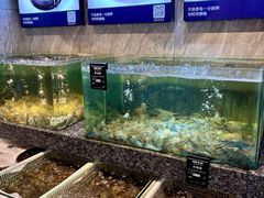 -海鲜e族(马王堆店)