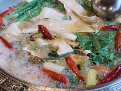 -贡椒鱼老店·雅安十大名店