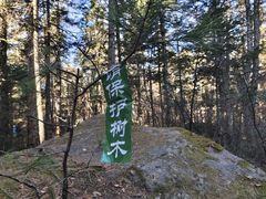 -汤旺河林海奇石景区
