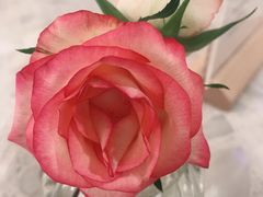 -南国大家装(汉西店)