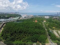 -万绿园