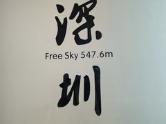 -平安金融中心云际观光层