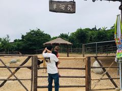 -泉州海丝野生动物世界