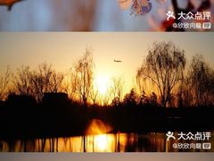 -东郊湿地公园