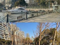 -北外滩百艇汇游艇俱乐部