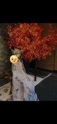 -盘子女人坊古装写真摄影(厦门总店)