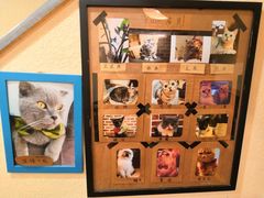 -猫友咖啡店(玉林西路店)