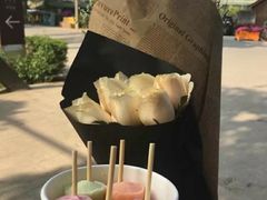 -三圣花乡旅游区