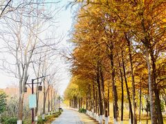 -苏州太湖国家湿地公园