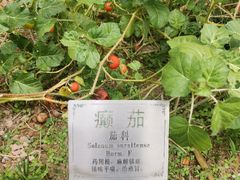 -广州神农草堂中医药博物馆