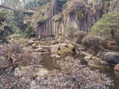 -南山植物园