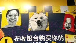 -乐高品牌旗舰店(人民广场店)