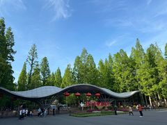 -东平国家森林公园