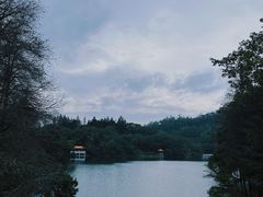 -深圳仙湖植物园