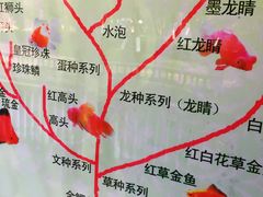 -杭州少年儿童公园