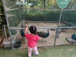 -萌宠亲子动物乐园(槐房万达店)