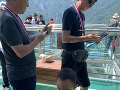 景点-陕西省红河谷森林公园