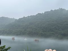 -醉美东江·三文鱼·烧鸡公