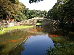 -普陀山风景名胜区-法雨禅寺