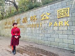 -潜山国家森林公园
