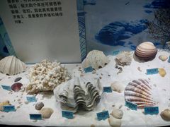 -温州博物馆