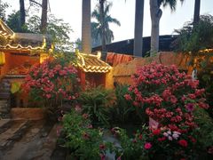 -园林美食城·本土农家菜(杨和镇店)