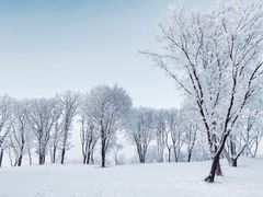 -中旅松花湖滑雪场
