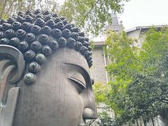 -杭州植物园