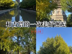 -玲珑塔公园