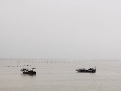 -北岐滩涂