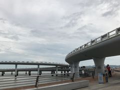 -演武大桥观景平台