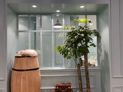 -安格丽娜·狗咖·猫咖羊驼咖(春熙路百盛商场店)