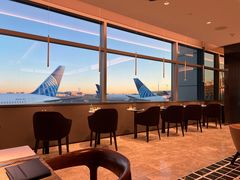 -纽瓦克自由国际机场