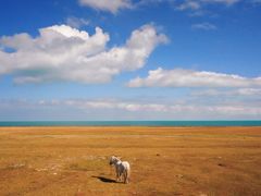 -青海湖国家重点风景名胜区