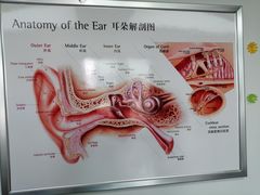 -自然之声助听器·呼吸机(翠微大厦店)