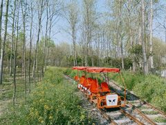 -合肥滨湖国家森林公园